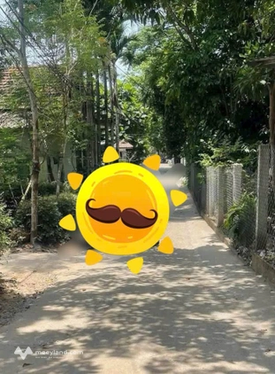 Bất động sản tại Thừa Thiên Huế - ảnh 1