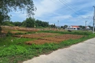 Bất động sản tại Khánh Hòa - ảnh 1