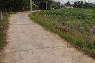 Bất động sản tại Tây Ninh - ảnh 1