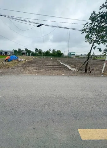 Bất động sản tại Long An - ảnh 1