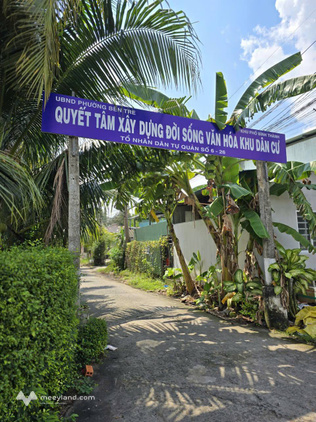 Bất động sản tại Bến Tre - ảnh 1