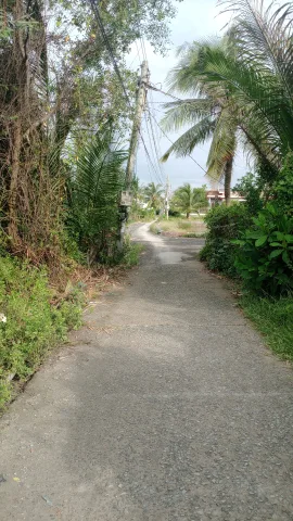 Bất động sản tại Tây Ninh - ảnh 1