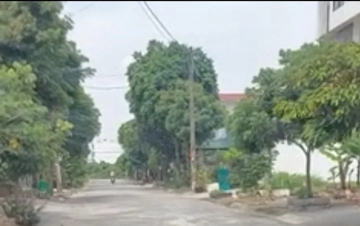 Bất động sản tại Hải Phòng - ảnh 1