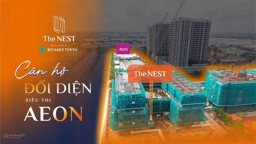 Bất động sản tại Bình Dương - ảnh 1