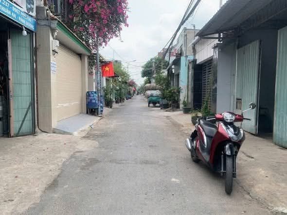 Bất động sản tại Bình Dương - ảnh 1
