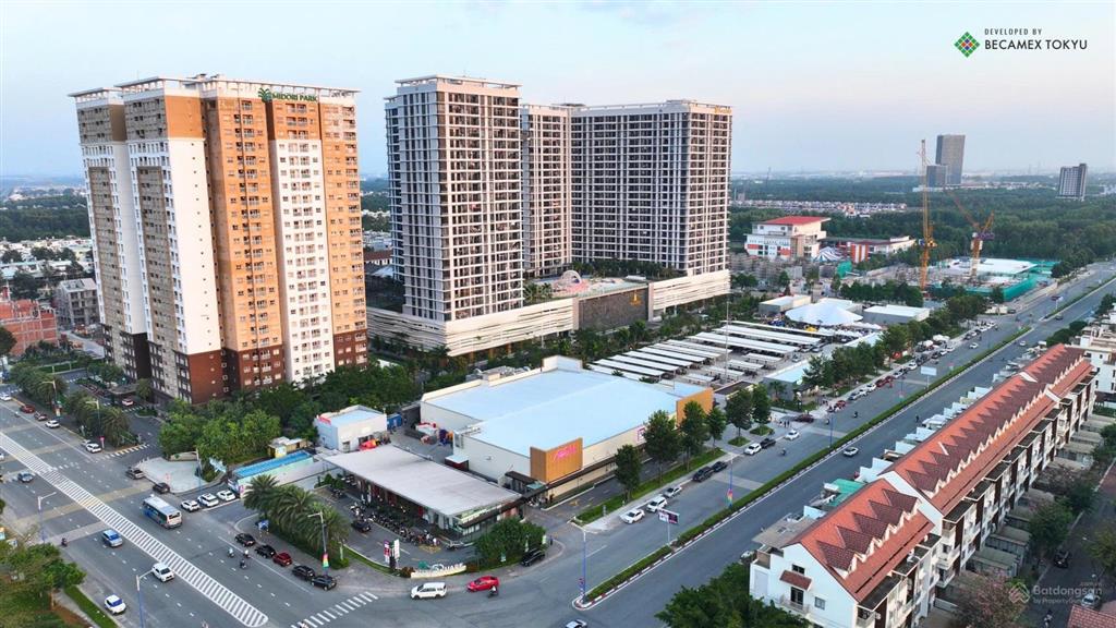 Bất động sản tại Bình Dương - ảnh 1