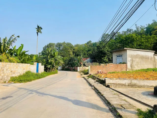 Bất động sản tại Hải Phòng - ảnh 1