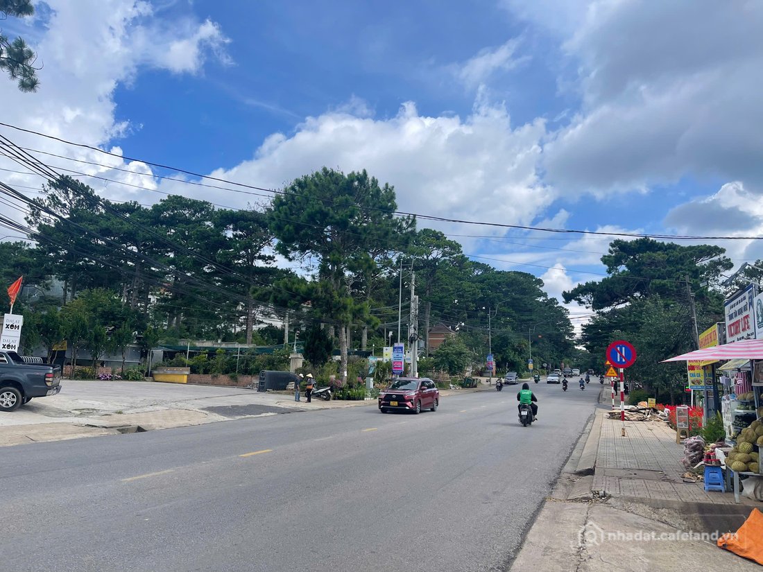 Bất động sản tại Lâm Đồng - ảnh 1