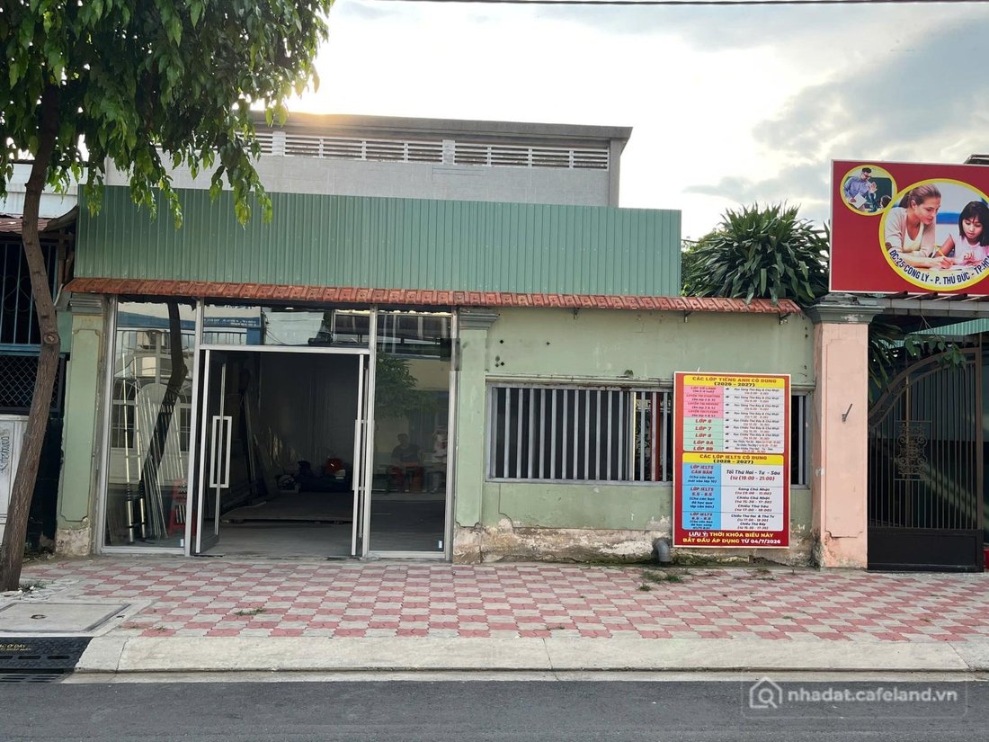 Bất động sản tại TP. Hồ Chí Minh - ảnh 1