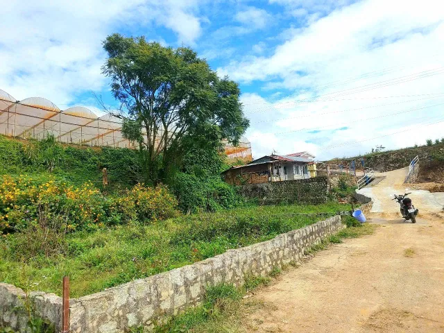Bất động sản tại Lâm Đồng - ảnh 1