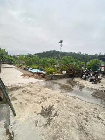 Bất động sản tại Hải Phòng - ảnh 1