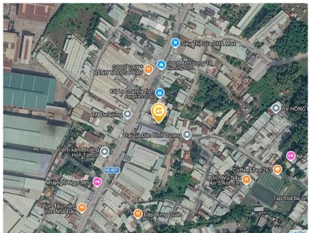 Bất động sản tại Bình Dương - ảnh 1
