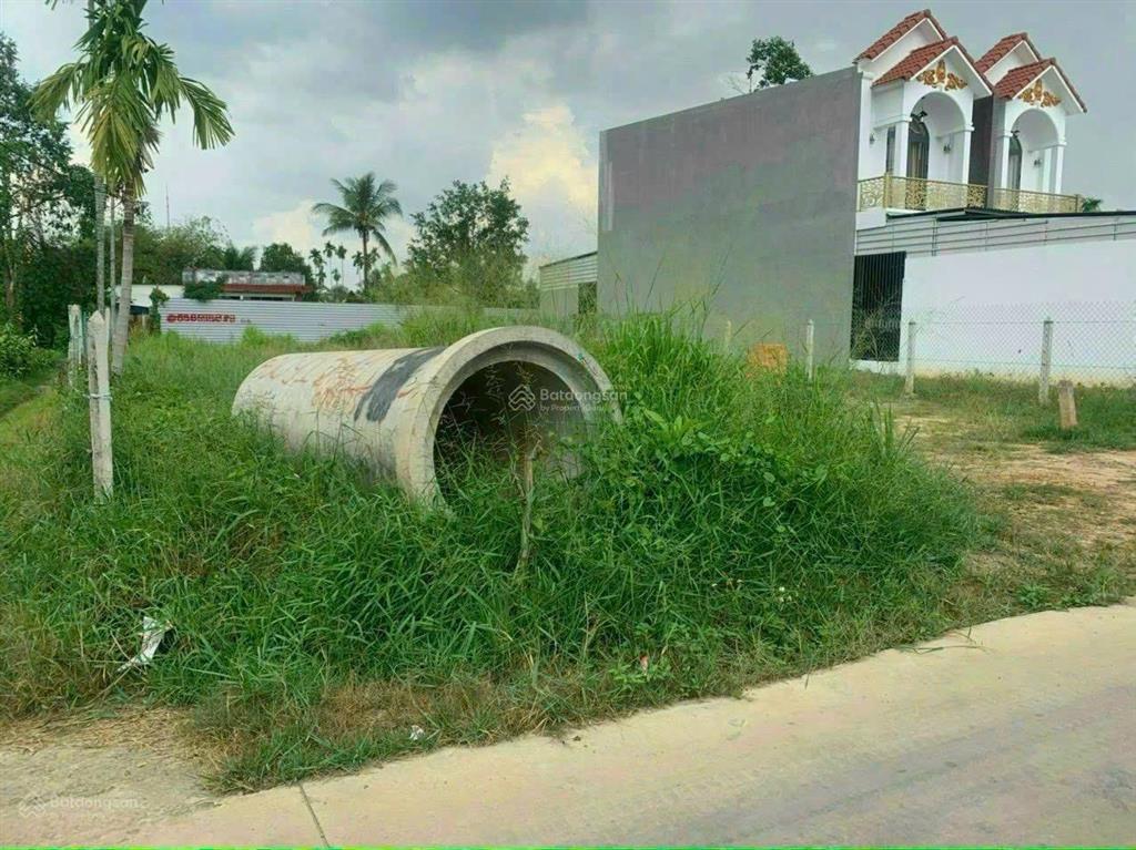 Bất động sản tại Bình Dương - ảnh 1