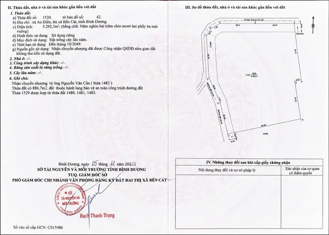 Bất động sản tại Bình Dương - ảnh 1