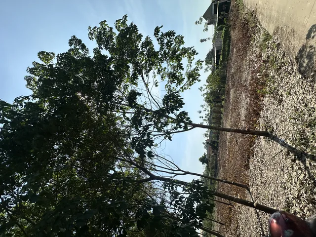 Bất động sản tại Bình Dương - ảnh 1