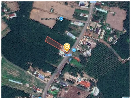 Bất động sản tại Bình Dương - ảnh 1