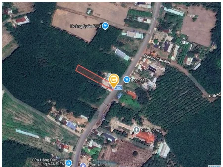 Bất động sản tại Bình Dương - ảnh 1