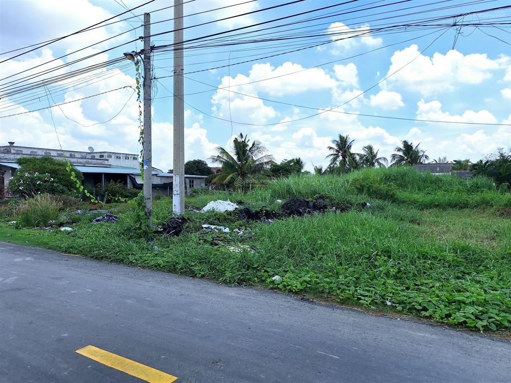 Bất động sản tại Long An - ảnh 1