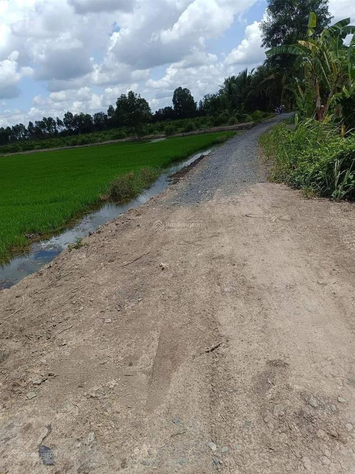 Bất động sản tại Long An - ảnh 1