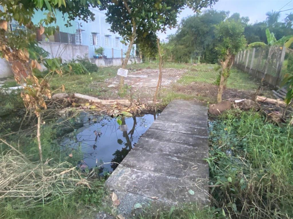 Bất động sản tại Long An - ảnh 1