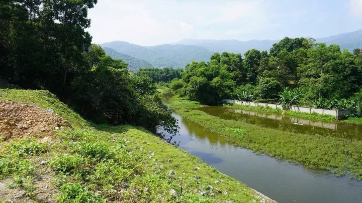 Bất động sản tại Phú Thọ - ảnh 1