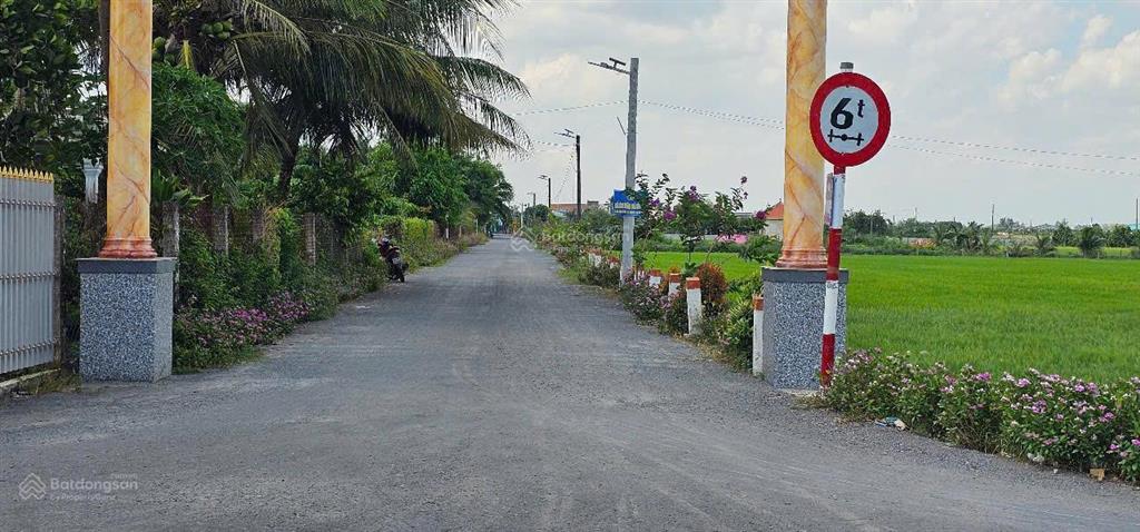 Bất động sản tại Long An - ảnh 1