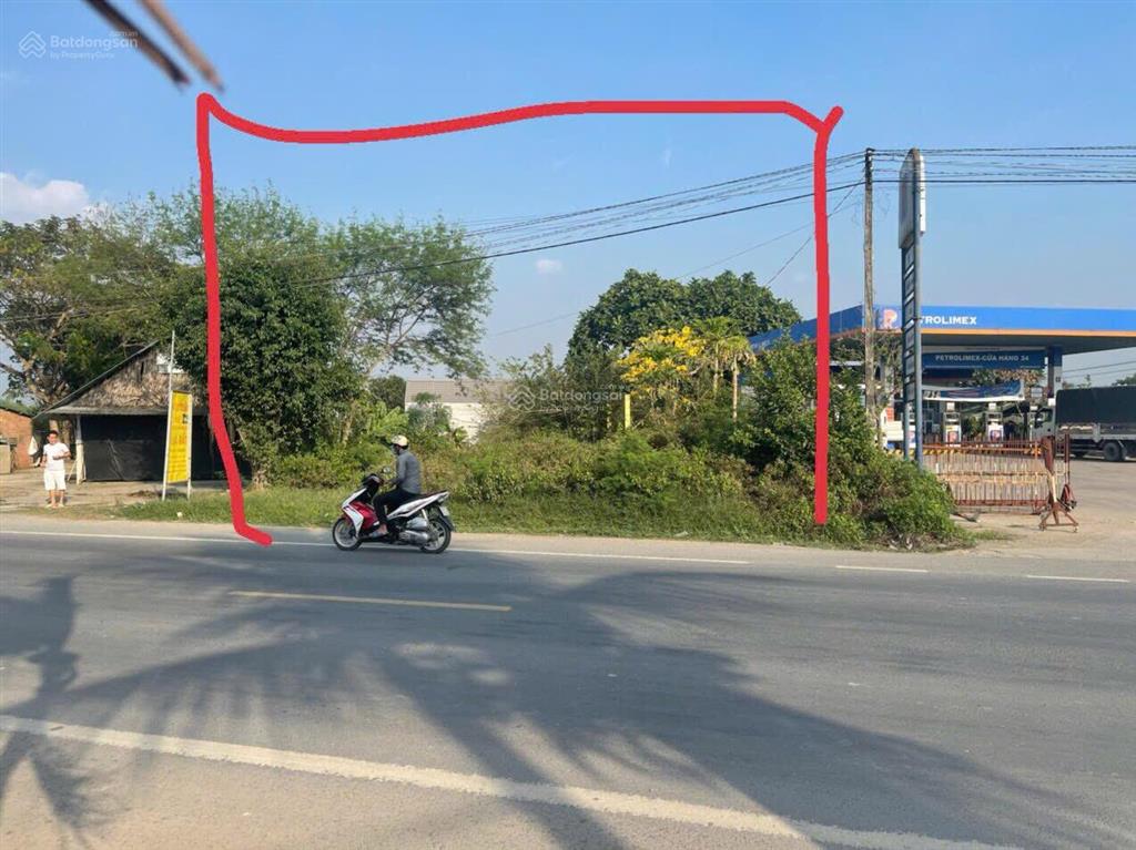 Bất động sản tại Long An - ảnh 1