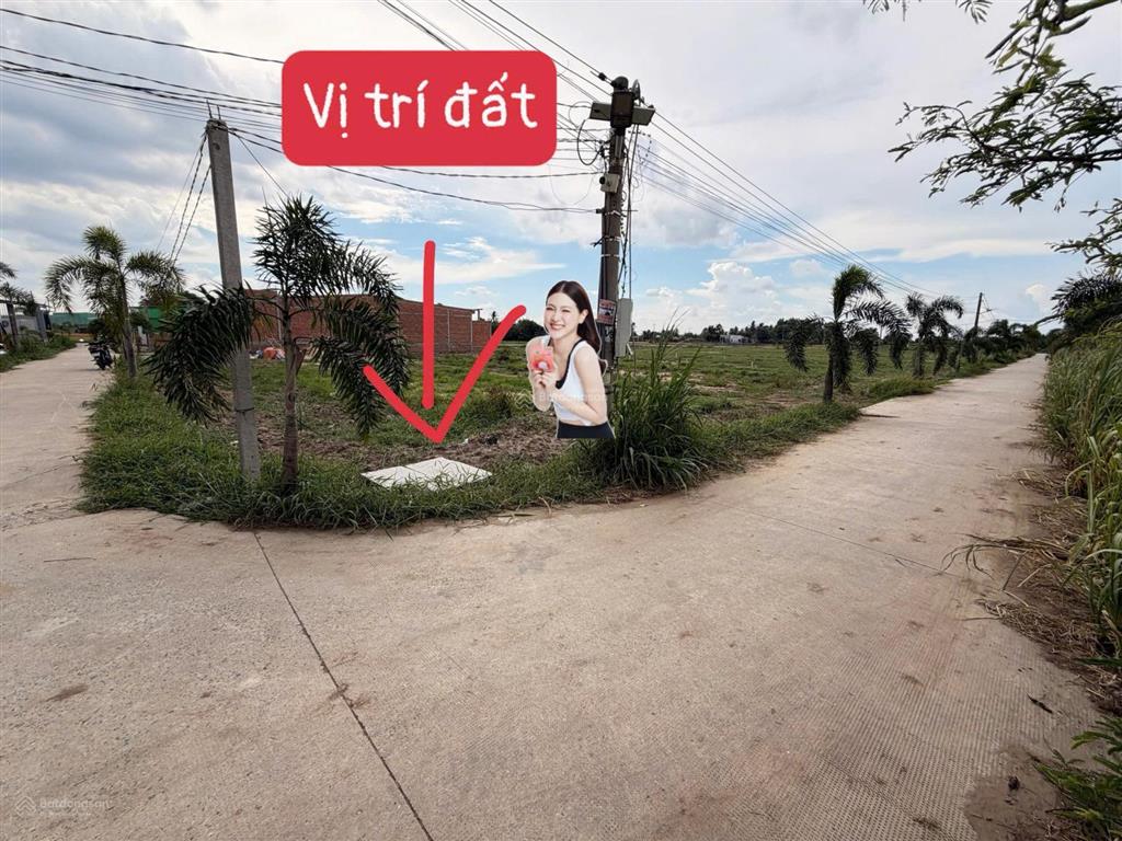 Bất động sản tại Long An - ảnh 1
