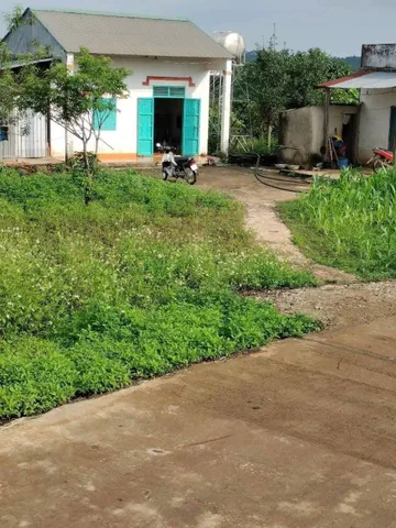 Bất động sản tại Lâm Đồng - ảnh 1