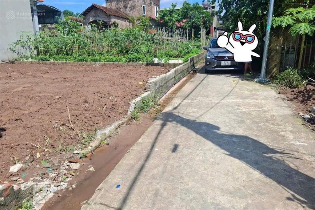 Bất động sản tại Hưng Yên - ảnh 1