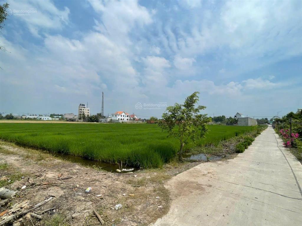Bất động sản tại Long An - ảnh 1