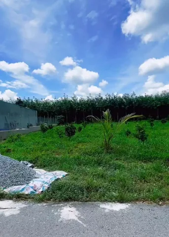 Bất động sản tại Bình Dương - ảnh 1