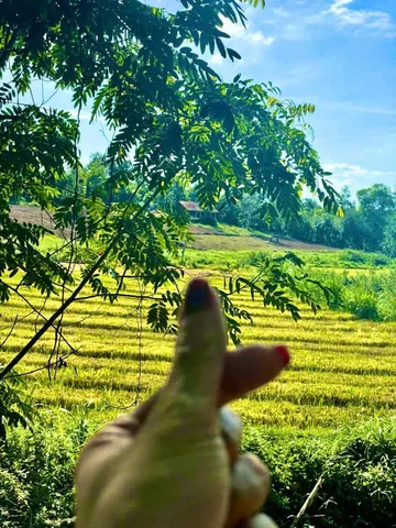 Bất động sản tại Đắk Lắk - ảnh 1