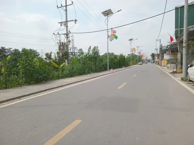 Bất động sản tại Hưng Yên - ảnh 1