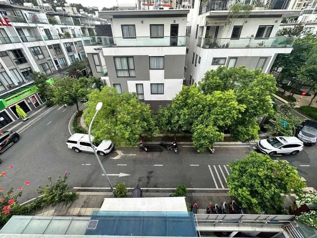 Bất động sản tại TP. Hồ Chí Minh - ảnh 1