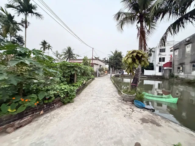 Bất động sản tại Hải Phòng - ảnh 1