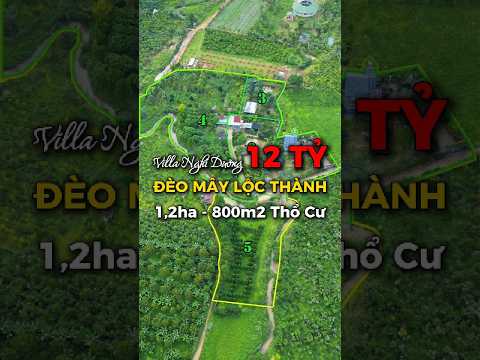 Bất động sản tại Lâm Đồng - ảnh 1