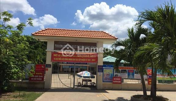Bất động sản tại Long An - ảnh 1