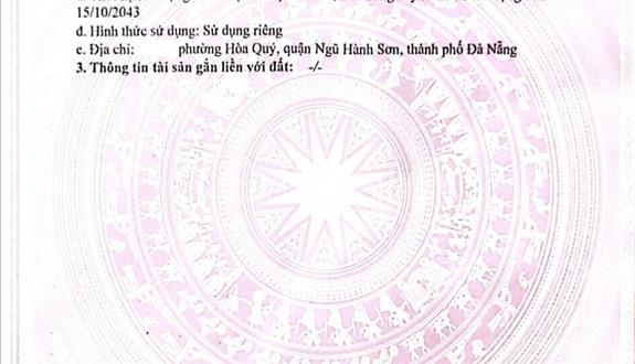 Bất động sản tại Đà Nẵng - ảnh 1