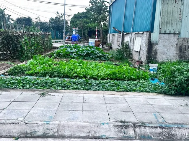 Bất động sản tại Hưng Yên - ảnh 1