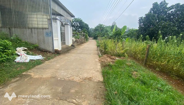 Bất động sản tại Phú Thọ - ảnh 1