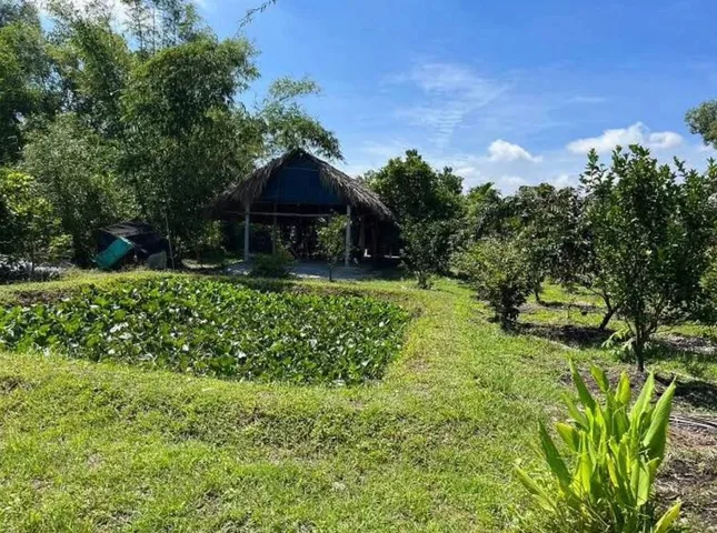 Bất động sản tại Bình Dương - ảnh 1