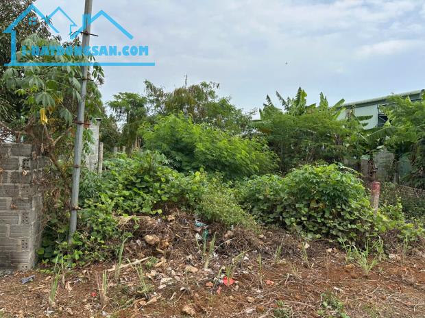 Bất động sản tại Gia Lai - ảnh 1