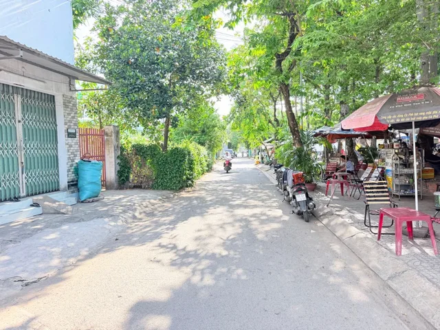 Bất động sản tại TP. Hồ Chí Minh - ảnh 1