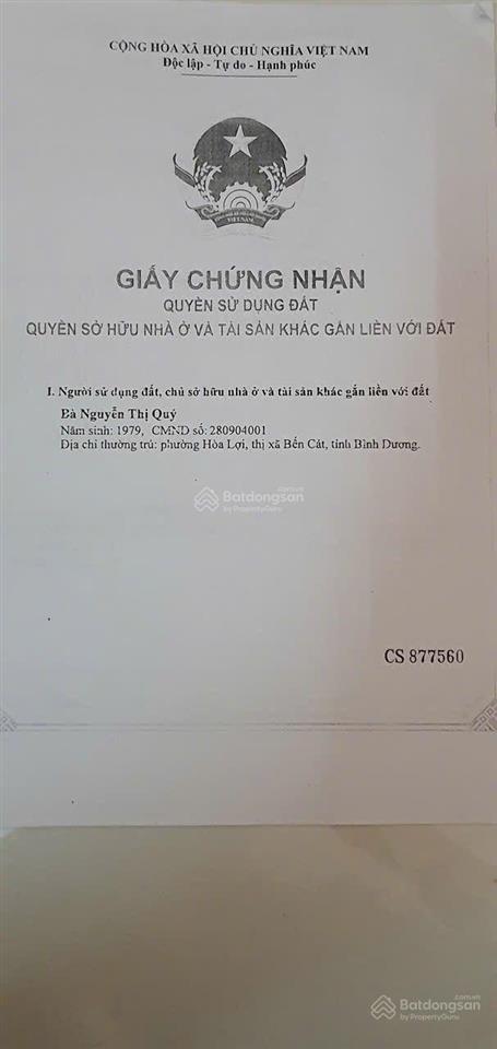 Bất động sản tại Bình Dương - ảnh 1