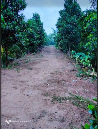 Bất động sản tại Bến Tre - ảnh 1