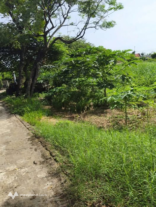 Bất động sản tại Phú Yên - ảnh 1