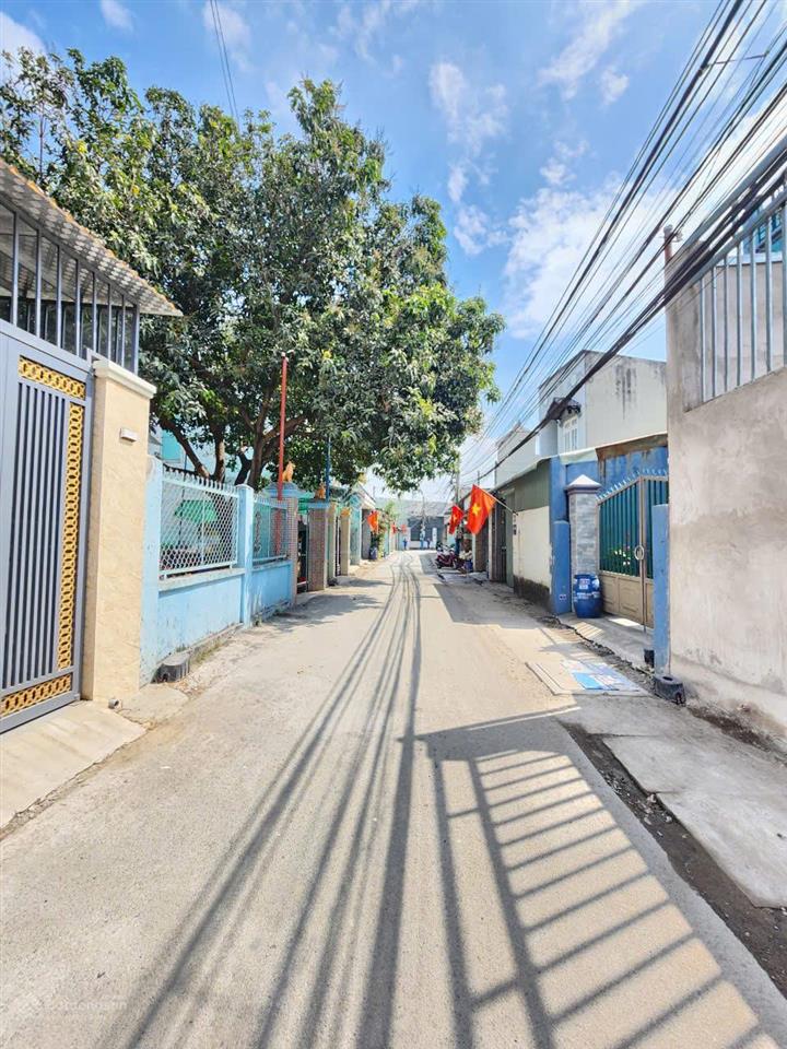 Bất động sản tại Bình Dương - ảnh 1