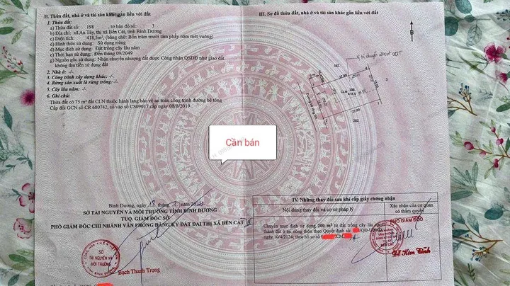 Bất động sản tại Bình Dương - ảnh 1