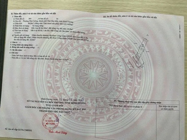 Bất động sản tại Bình Dương - ảnh 1